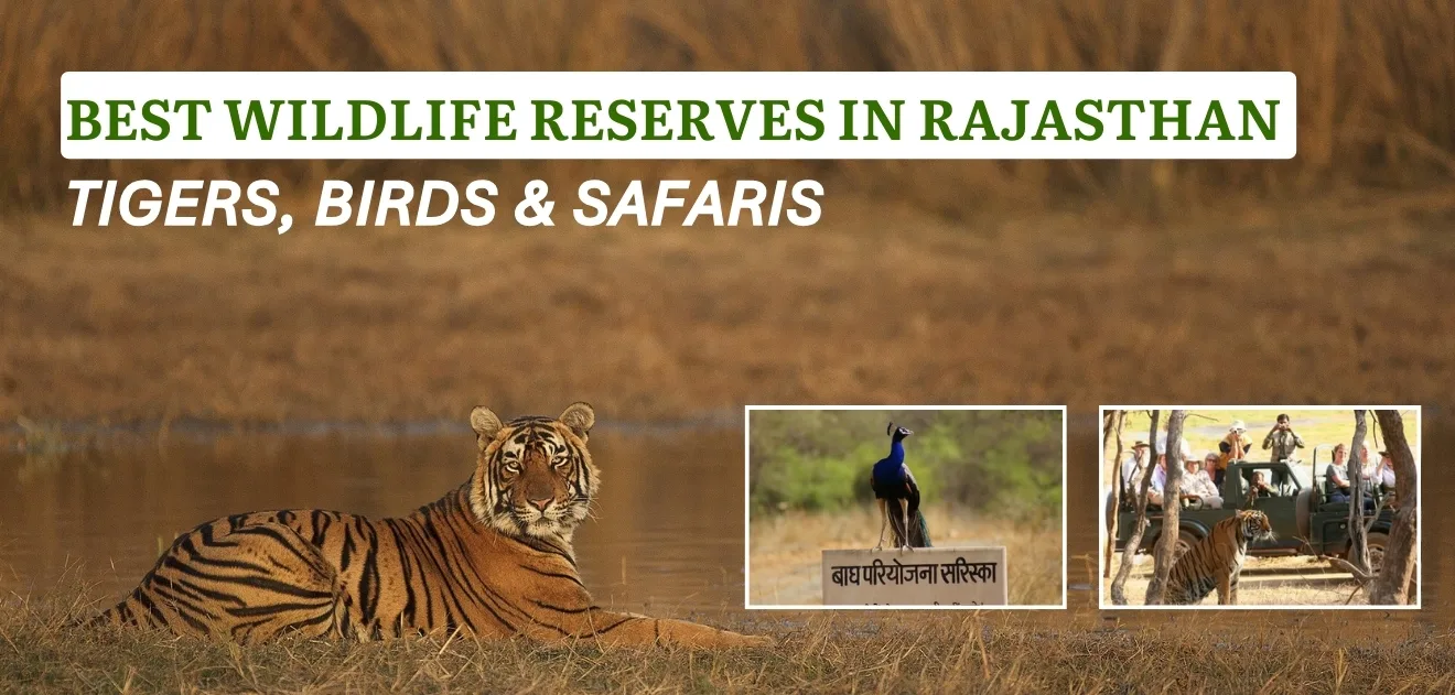 Best Wildlife Reserves in Rajasthan