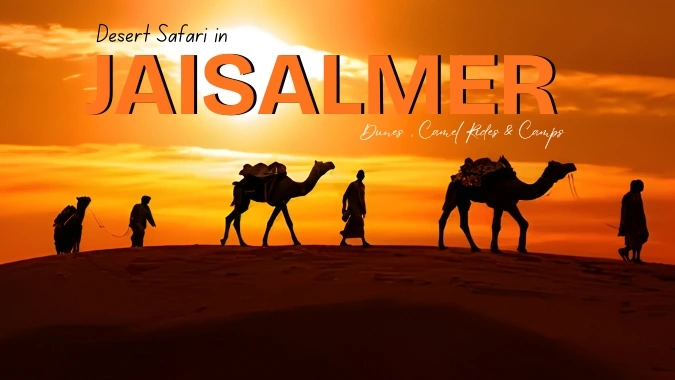 Best Wildlife Reserves in Rajasthan