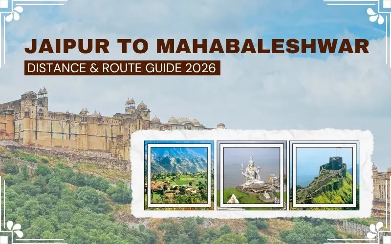 Best Wildlife Reserves in Rajasthan