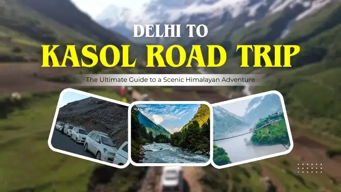 Best Wildlife Reserves in Rajasthan